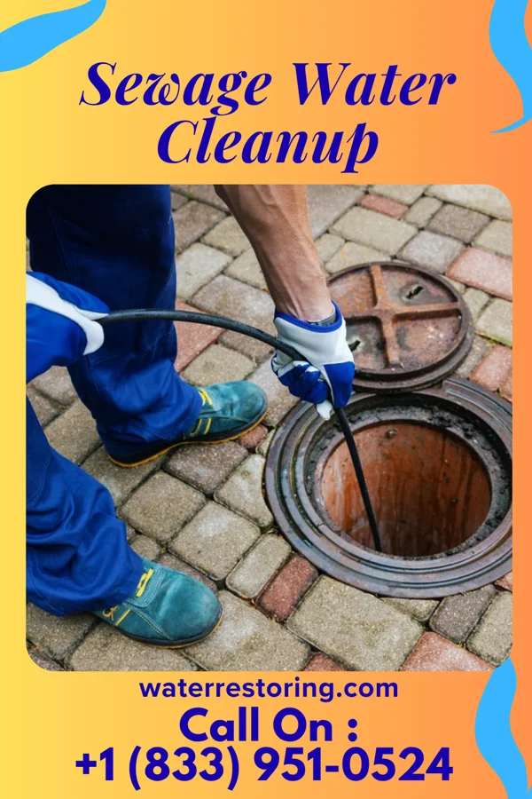 Sewage Water Cleanup in Zinc, AR